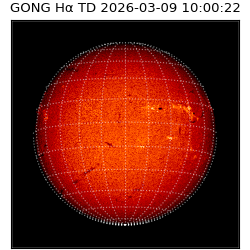 gong - 2026-03-09T10:00:22
