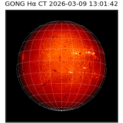 gong - 2026-03-09T13:01:42