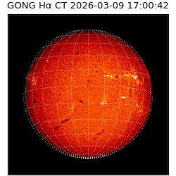 gong - 2026-03-09T17:00:42