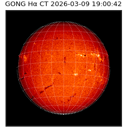 gong - 2026-03-09T19:00:42