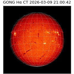gong - 2026-03-09T21:00:42