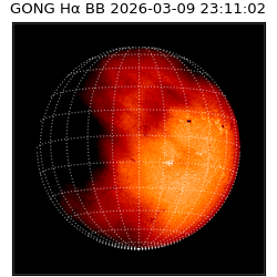 gong - 2026-03-09T23:11:02