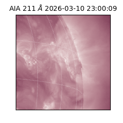 saia - 2026-03-10T23:00:09.623000