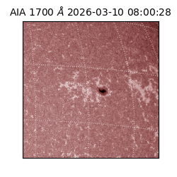 saia - 2026-03-10T08:00:28.446000