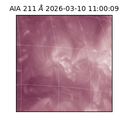 saia - 2026-03-10T11:00:09.630000