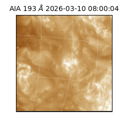 saia - 2026-03-10T08:00:04.842000