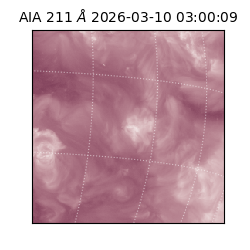 saia - 2026-03-10T03:00:09.624000