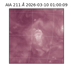 saia - 2026-03-10T01:00:09.622000