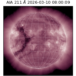 saia - 2026-03-10T08:00:09.632000