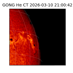 gong - 2026-03-10T21:00:42