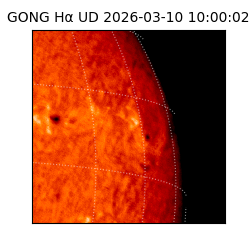gong - 2026-03-10T10:00:02