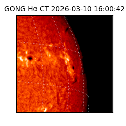 gong - 2026-03-10T16:00:42