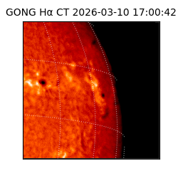 gong - 2026-03-10T17:00:42
