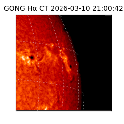 gong - 2026-03-10T21:00:42