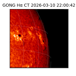 gong - 2026-03-10T22:00:42