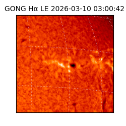 gong - 2026-03-10T03:00:42