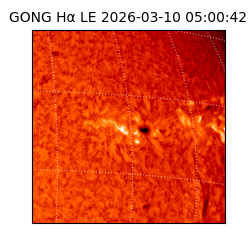 gong - 2026-03-10T05:00:42