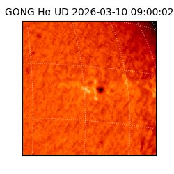 gong - 2026-03-10T09:00:02