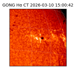 gong - 2026-03-10T15:00:42