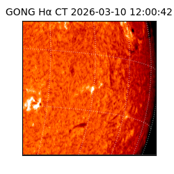 gong - 2026-03-10T12:00:42