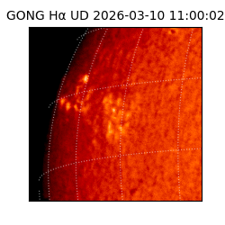 gong - 2026-03-10T11:00:02