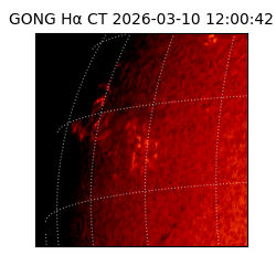 gong - 2026-03-10T12:00:42