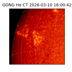 gong - 2026-03-10T16:00:42