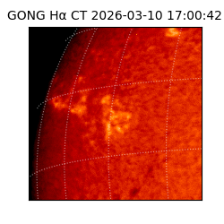 gong - 2026-03-10T17:00:42