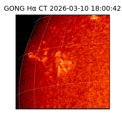 gong - 2026-03-10T18:00:42