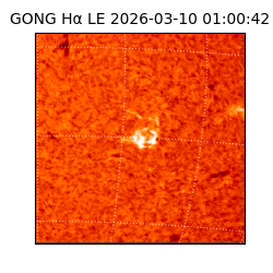 gong - 2026-03-10T01:00:42