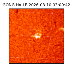 gong - 2026-03-10T03:00:42