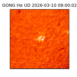 gong - 2026-03-10T08:00:02