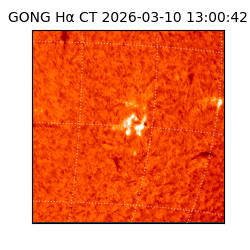 gong - 2026-03-10T13:00:42