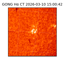 gong - 2026-03-10T15:00:42