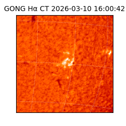 gong - 2026-03-10T16:00:42