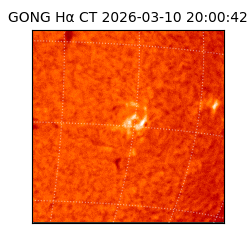 gong - 2026-03-10T20:00:42