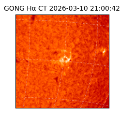 gong - 2026-03-10T21:00:42