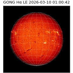 gong - 2026-03-10T01:00:42