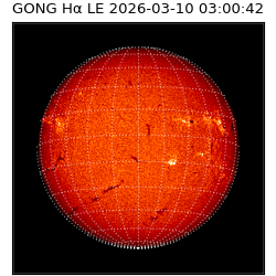gong - 2026-03-10T03:00:42