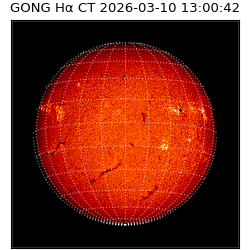 gong - 2026-03-10T13:00:42