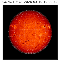 gong - 2026-03-10T19:00:42