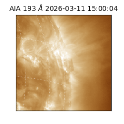 saia - 2026-03-11T15:00:04.842000