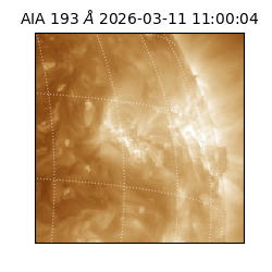 saia - 2026-03-11T11:00:04.842000