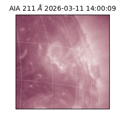 saia - 2026-03-11T14:00:09.623000