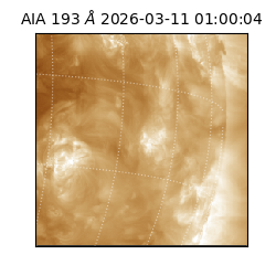 saia - 2026-03-11T01:00:04.842000