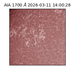 saia - 2026-03-11T14:00:28.448000