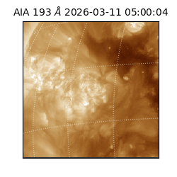 saia - 2026-03-11T05:00:04.842000