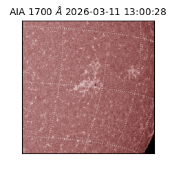 saia - 2026-03-11T13:00:28.446000