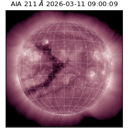 saia - 2026-03-11T09:00:09.630000