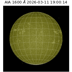 saia - 2026-03-11T19:00:14.122000